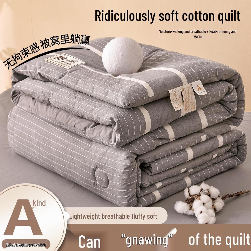 2025 All-Season Quilts: Thick Washed Cotton for Winter, Xinjiang Cotton for Summer, and Versatile Spring/Autumn Comfort