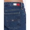 Tommy Jeans Sophie DW0DW17183 Blue Flare Fit Jeans