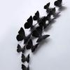 12 Piece Black Set – come nell'immagine