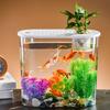 Plastic Tabletop Fish Tank Hydroponics Shatterproof Clear Table Fish Bowl Aquarium Holder Soil Cultivation for Home Office Decor