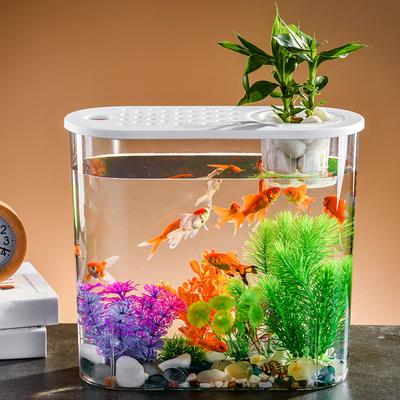 Plastic Tabletop Fish Tank Hydroponics Shatterproof Clear Table Fish Bowl Aquarium Holder Soil Cultivation for Home Office Decor