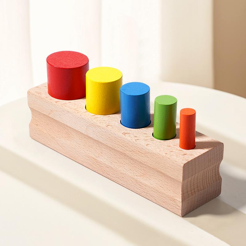 Montessori Wooden Colored Cylinder Blocks: Early Education Teaching Aids for Children