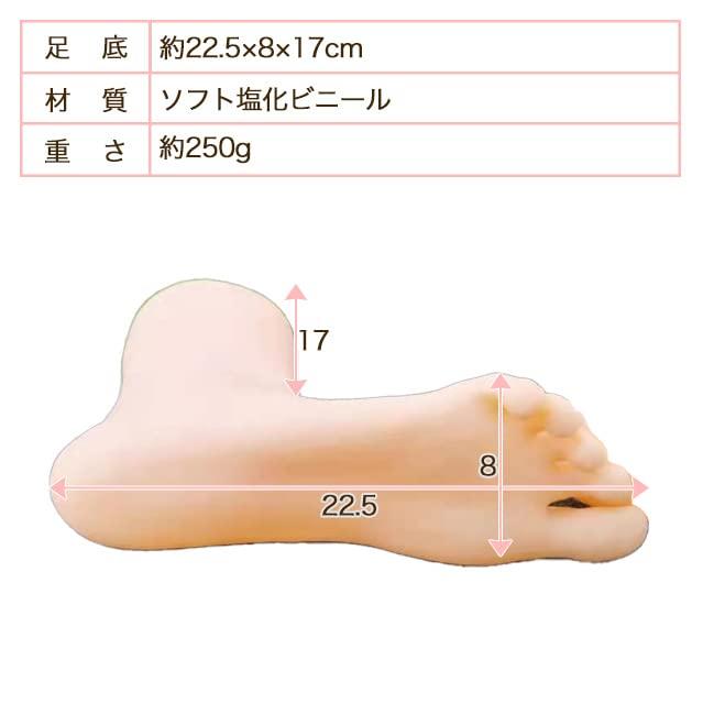 Practice Mannequin Foot Torso Width 9 X Length 23 X Height 39cm Accessory Flesh Color Beige Ankle Leg Shop Arrangement Accent Interior Decorate
