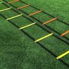 Agility Ladder Portable Speed Rungs Athletic Gear for Athletes, Coaches, Outdoor, Gym 3M