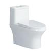 SSWW Siphonic Water-Saving Ceramic Toilet