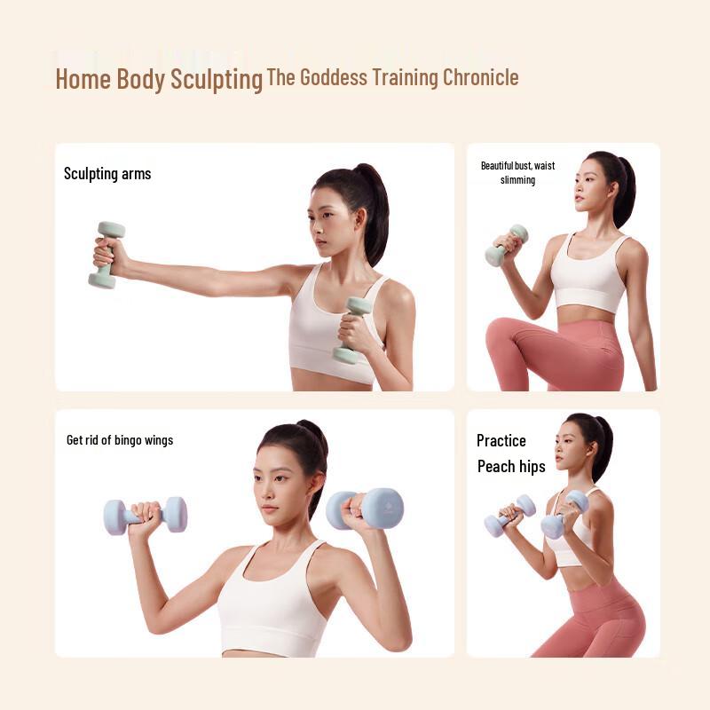 Jingdong Dip-Coated Cast Iron Dumbbells