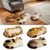 2D Printed Cat Shape Floor Mat Crystal Velvet Bedside Carpet Animal Area Rug  Bathroom Floor