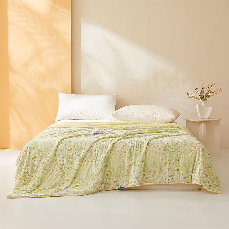 

CALVERT KRISCK-X25-06 Ice Skin Cool Touch Printed Summer Quilt