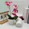 Two Realistic Branches Butterfly Orchid Green Plant Bonsai For Decor Indoor
