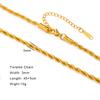 Skyrim Stainless Steel Gold Color Chain Necklace Women Minimalist Cuban Paperclip Twisted Snake Chain Fashion Jewelry Wholesale