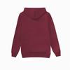 2023 Women's Winter Hooded Lambswool Pocket Sweatshirt Jacket