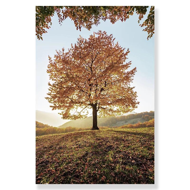 Autumn Country Landscape Lake Tree Animal Deer Forest Canvas Prints and Posters Pumpkin Reed Painting Living Room Picture Decor