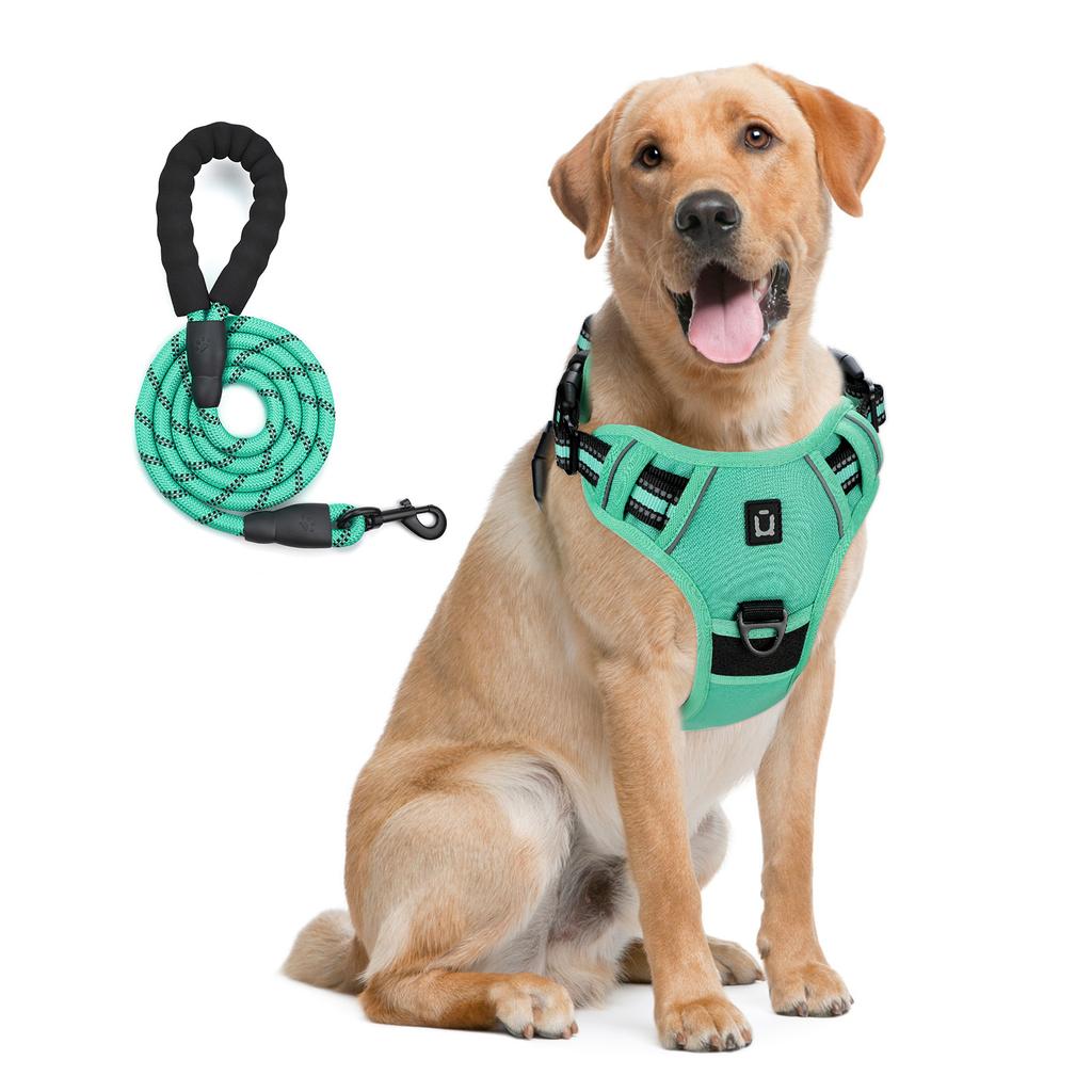Dog Harness and Leash Combo, Escape Proof No Pull Vest Harness, with 5 Feet Leash, Reflective Adjustable Soft Padded Pet Harness