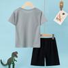2-Piece Children's Summer Quick Drying Sports Suit for Boys and Girls, Handsome Dinosaur Print Short-Sleeved Top