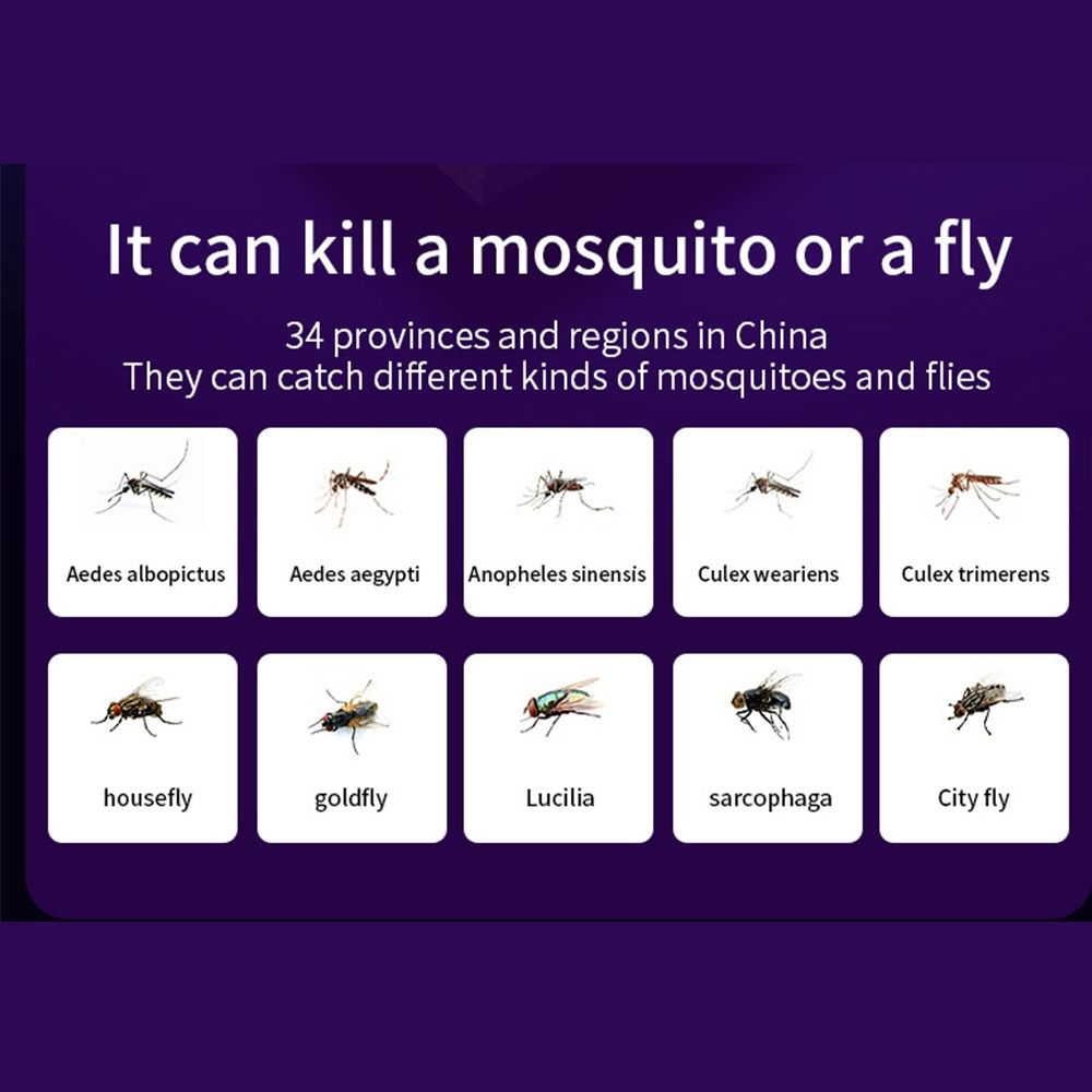 USB Rechargeable Electric Fly Trap Mute Bug Zapper Trap Lamp Mini Mosquito  Lamp  Summer