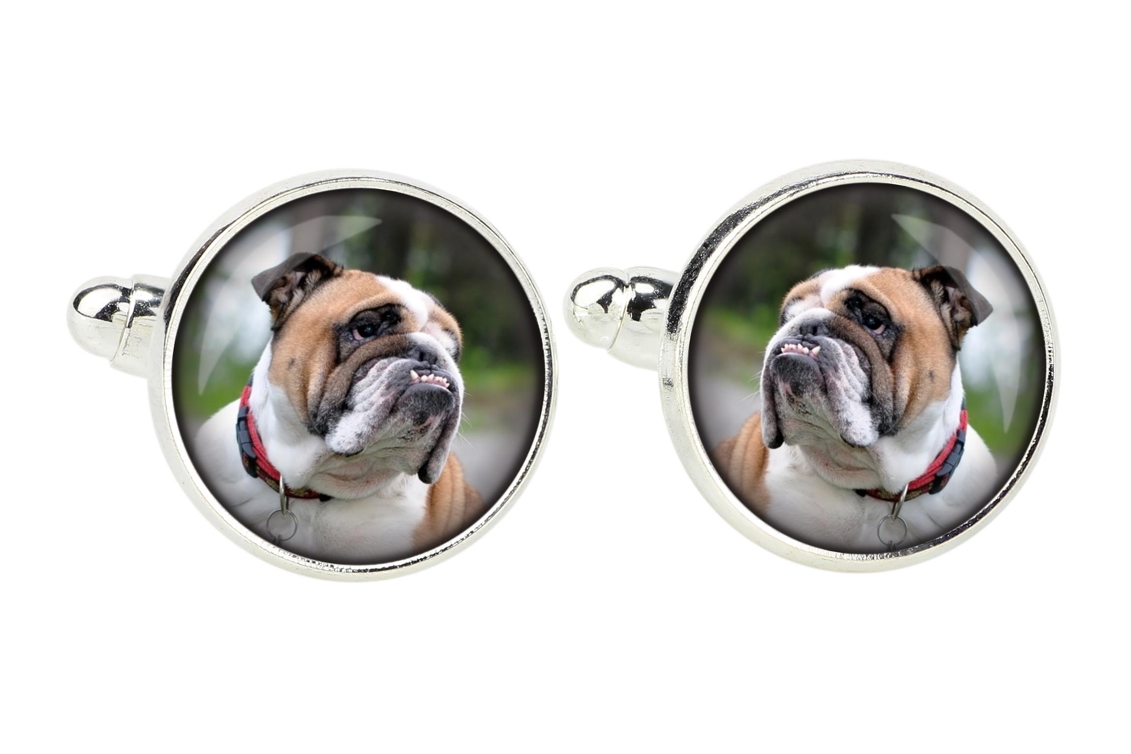 

Bulldog, English Bulldog, British Bulldog - cufflinks, a shirt accessory, a shirt pendant from the Art-Dog brand срібний