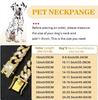 Dog Chain Collar Luxury Gold Pet Metal Chain Collar For Small Medium Large Dogs Cats Pet Jewelry Necklace Accessorie