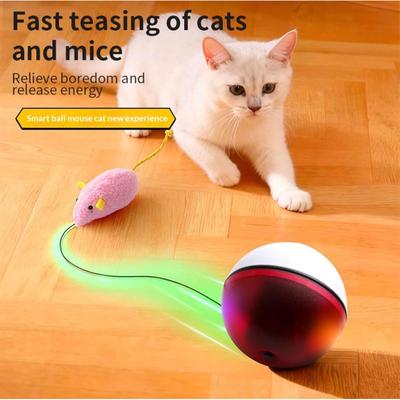 Interaktiver Katzenspielzeugball Wiederaufladbar Smart Automatisch Bewegend gelangweilte Katze Rollender Ball Spielzeug für Kätzchen Welpen Hund Haustier Spiel Übung