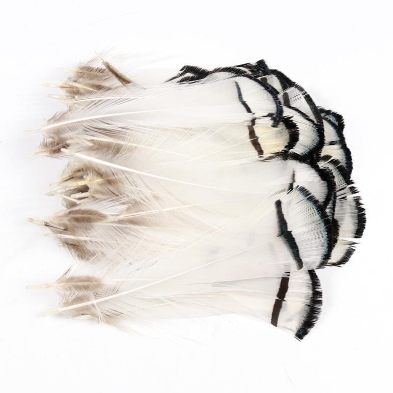 10pcs Lady Amherst Feather Tippet Nymph Wet Streamer Wing Tag Tail Fly Tying Material Salmon Steelhead Fishing Fly Tying
