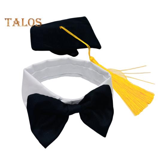 Easter Goose Outfit Graduation Bees Ladybug Clothes Set for Standard Lawn Goose 23" Spring Summer Happy Easter Bunny Porch Goose Sign Garden Home