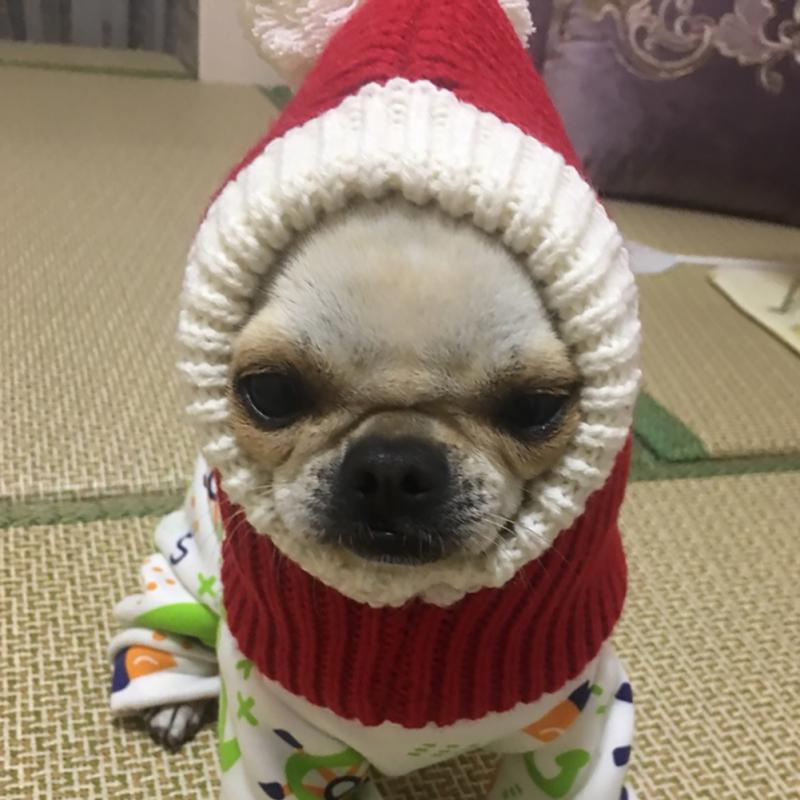 Warm Lovely Autumn Winter Pet Dog 
