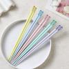 Alloy Household Chopsticks – National Tide Style, Macaron Color, Japanese Fingernail Design, Double Pack for One Person Use.