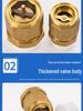 Brass PPR One-Way Check Valve Backflow Preventer
