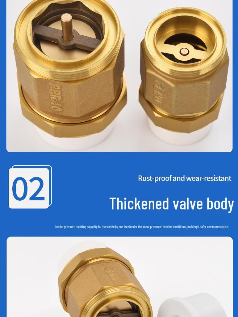 Brass PPR One-Way Check Valve Backflow Preventer