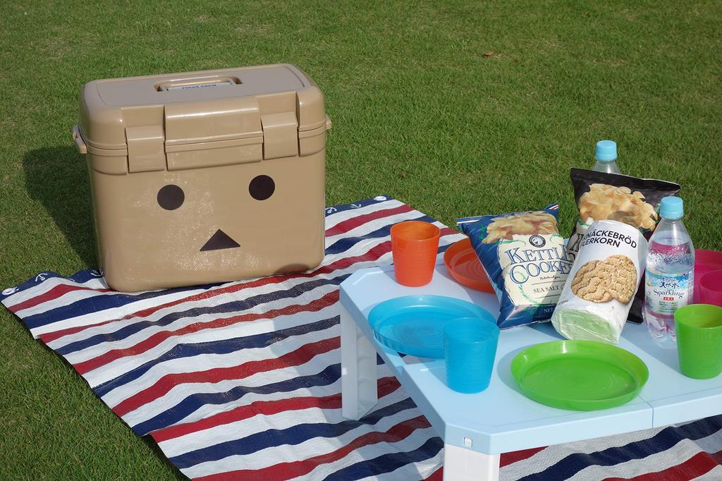 JEJ Astage 25L Cooler Made in Danbo Forest Crew W x 28cm D x 36cm Box, Japan, #25 [47.5cm H]