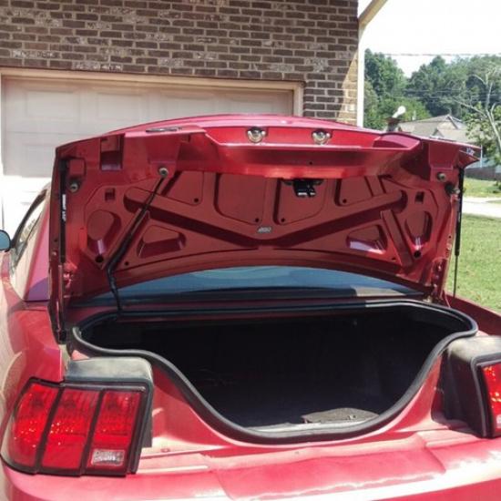 2Pcs Rear Trunk Tailgate Lift Support Gas Shock Struts For Ford Mustang