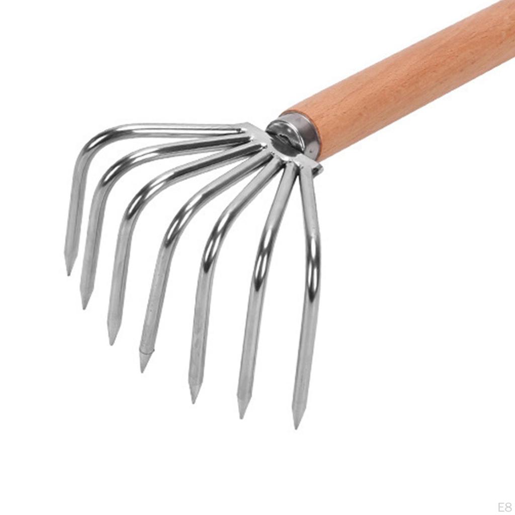 Rake Collection And Soil Preparation