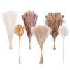 Yunnan Small Reed Dried Flower Bouquet Small Whisk Small Pupa Reed Grass Dried Reed Rabbit Tail Grass