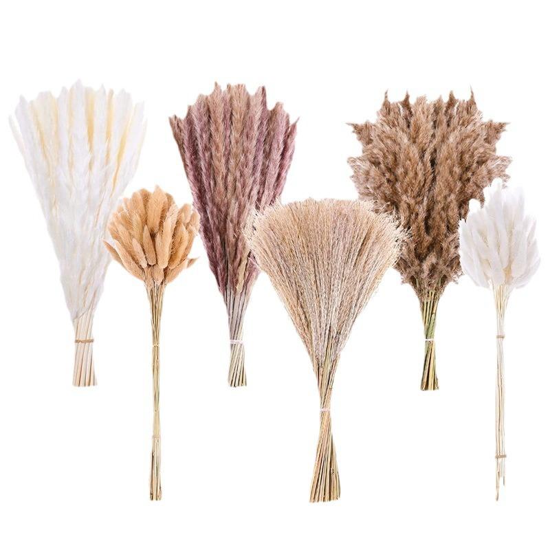 Yunnan Small Reed Dried Flower Bouquet Small Whisk Small Pupa Reed Grass Dried Reed Rabbit Tail Grass