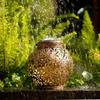 Epiphyllum Solar Iron Art Projection Light – Outdoor Garden LED Atmosphere Lighting