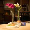 Test Tube Vase Glass Hydroponic Vase with Wooden Stand Desktop Transparent Tube Vase for Plants And Cut Flowers Flower Arrangement
