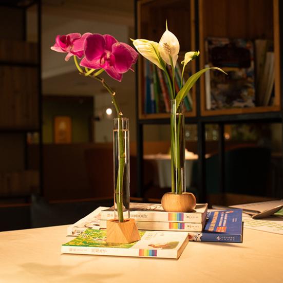 Test Tube Vase Glass Hydroponic Vase with Wooden Stand Desktop Transparent Tube Vase for Plants And Cut Flowers Flower Arrangement