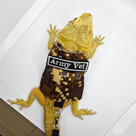 Bartagamen-Leine mit Geschirr, Reptilien-Zugseil, Outdoor-Gehtrainingsgeschirr, Leine für Reptilien, Meerschweinchen, Eidechsen