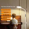 Newman Multi-functional Voice-Controlled Eye-Protection Floor Lamp