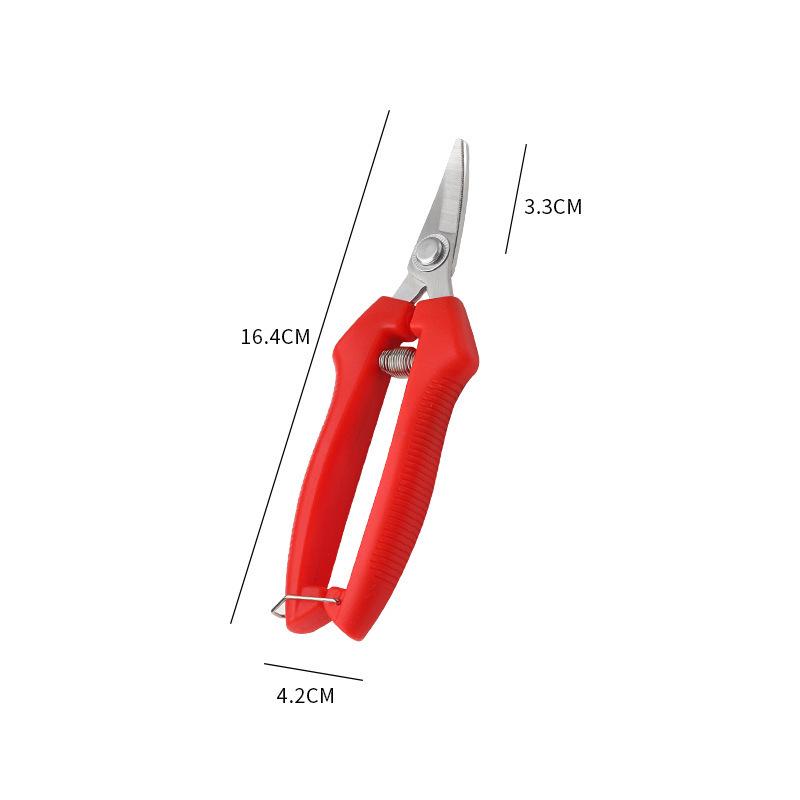 Horticultural Stainless Steel Pruning Shears for Garden, Flowers, Branches, and Fruit Trees
