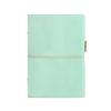 Filofax Domino Bibelplaner, Perlmutt Minze, 022579, Offiziell importiert
