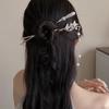 Chinese Retro Style Three-dimensional Flower Butterfly Alloy Women's Hairpin Long Tassel Chain Hanfu Updo Hair Clip Headwear