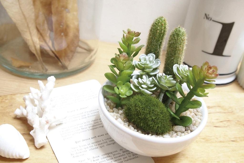 Kishima CT Catalyst Deodorizing Artificial Green Succulent Refrelium KH-60987