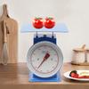 Mechanische Küchenwaage (0,1 kg/0,22 lb) – Präzise Portionswaage mit Plattform, industrielle Messskala zum Kochen
