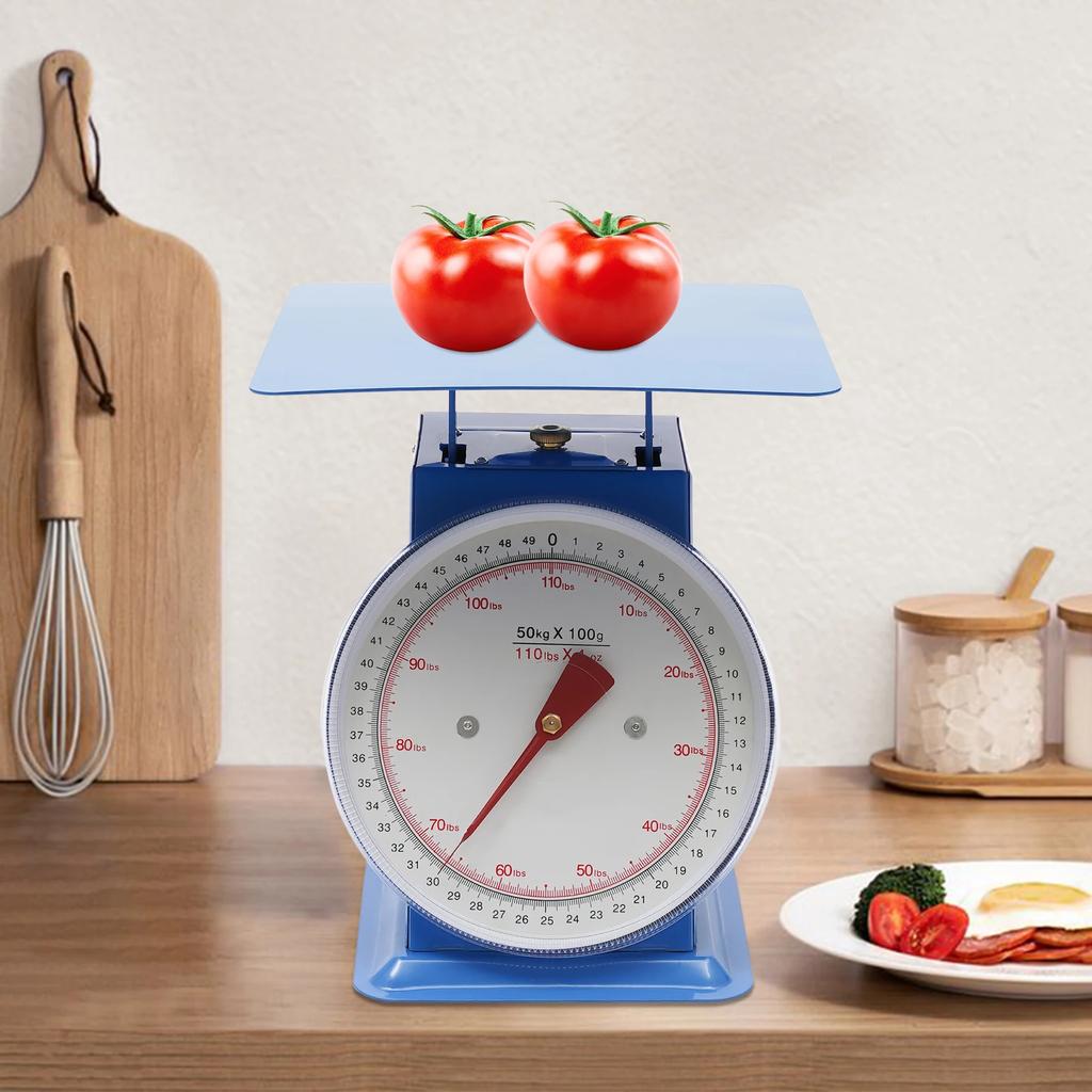 Mechanische Küchenwaage (0,1 kg/0,22 lb) – Präzise Portionswaage mit Plattform, industrielle Messskala zum Kochen