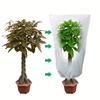 2/1Pack Large Plant Covers Freeze Protection Protection Blankets with Zipper Drawstring Freeze Protections Plant Covers