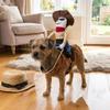 Novelty Dog Riding Denim Clothing Adjustable Cat Party Dressed Up Dog Cosplay Costumes  Photo Prop