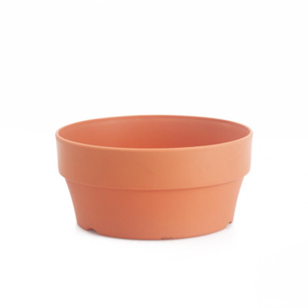 Vaso Fiorito Succulente Piante in Vaso Mini Fioriere Decorazione Ufficio Giardino Accessori Casa EL