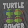 Teenage Mutant Ninja Turtles Unisex Adult Turtle Power Faces Sweatshirt