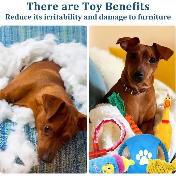 Jouets pour chien - joyboy - 18 pièces - corde à mâcher - durable et écologique