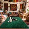 Dark Green Mat Soft Shaggy Carpet Non-Slip Rugs for Living Room/Bedroom/Nursery – Luxury Plush Carpet Room Decor